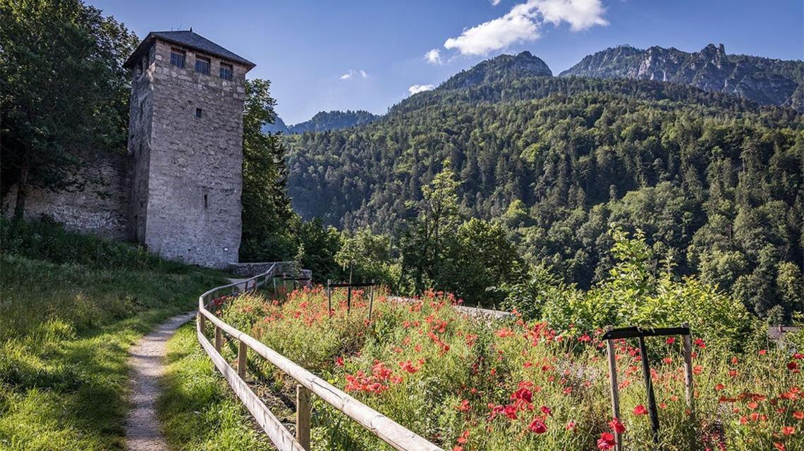 Ferienwohnungen Brigitte In Der Altstadt Бад-Райхенгалль Екстер'єр фото
